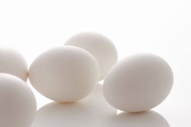 beyaz zemin üzerine beyaz yumurta