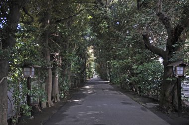 Uzun yapraklı ağaçlar ve eski fenerlerle kaplı gölgeli bir patika.