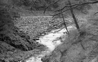 Dağ ormanlarındaki güzel hızlı nehrin siyah beyaz görüntüsü