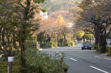 Gündüz Japon parkı, arka planda seyahat yeri.