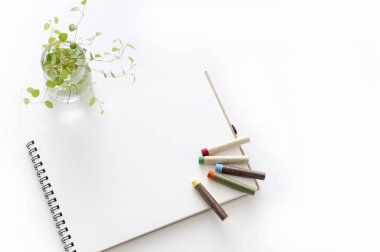 Vazoda yeşil bitki, defter ve beyaz arka planda renkli kalemler.