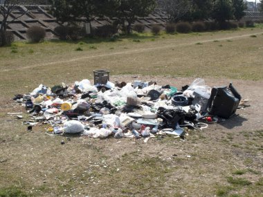 Güneşli bir öğleden sonra çimenlik araziyi kaplayan dağınık çöpler.