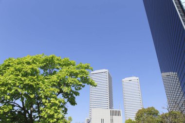 Yeşil yapraklı ağaçların alçak açılı görüntüsü ve kentsel şehirde uzun modern mimari     