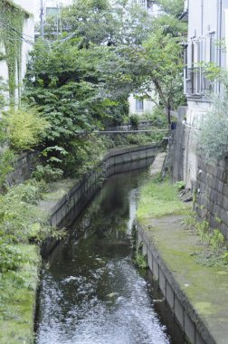 Yosun taşından duvarlar ve yeşillik arasında dar şehir kanalları dönüyor.