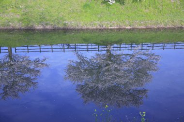 Parktaki gölün güzel bir görüntüsü.