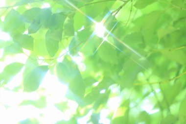 Su havaya düşer, arka plan bulanıklaşır. Soyut arkaplan 