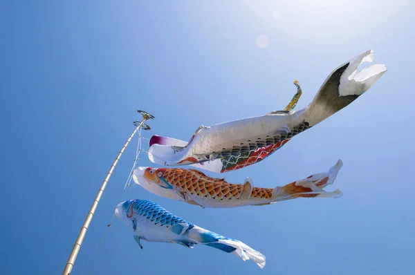 Luft Fisch Windsäcke Himmel Japan — Stockfoto