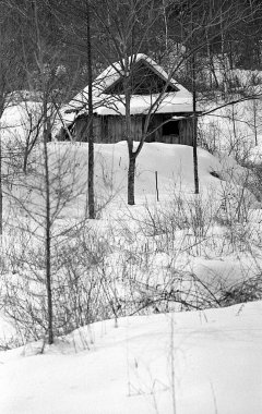 Kış dağlarında karla kaplı ahşap ev, siyah ve beyaz 