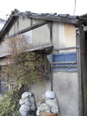 Yıpranmış ahşap evin dış tarafında tırmanma tesisleri ve mavi pencere var.