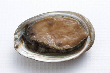 taze istiridye izole beyaz zemin üzerine