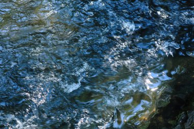 Denizde su dalgaları