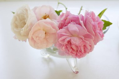 Açık arkaplanda güzel pembe çiçeklerin manzarasını kapat                                 