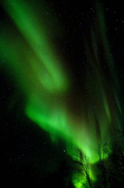 Güzel Aurora Borealis Gece gökyüzünde            