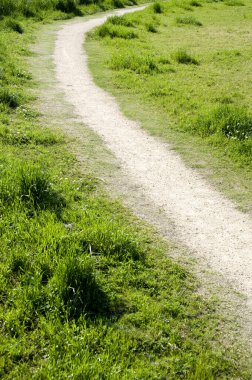 Bir yol ile yeşil çim