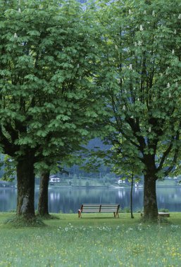 Göl kenarındaki bankla parkın güzel manzarası. 