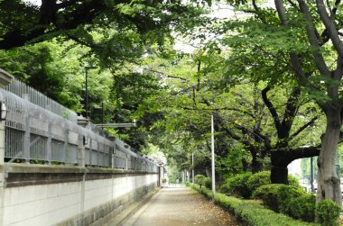Yeşil şehir parkının güzel manzarası