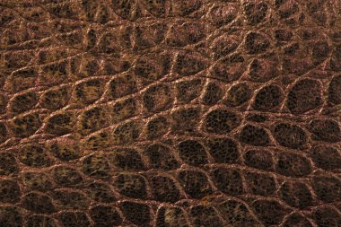  Deri dokusu arka plan, doğal malzeme 