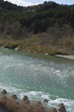 Dağlardaki ormanın ve nehrin güzel manzarası     