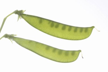 Beyaz zemin üzerinde taze organik bezelyelerin yakın plan görüntüsü     