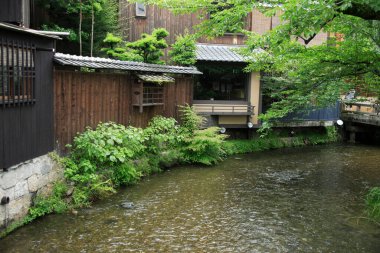 Bir nehir yemyeşil bir ormanın içinden akıyor.