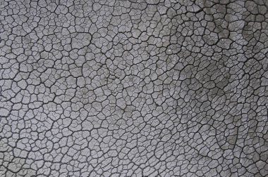 Çatlak zemin dokusu. kuru çatlak zemin dokusu