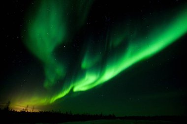 Aurora Borealis kış manzarası boyunca gece gökyüzünde      
