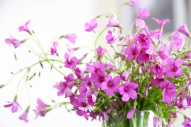 Vazoda bir buket taze çiçek, çiçek kompozisyonu 