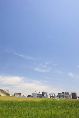 Japonya 'nın Osaka kentindeki yeşil bir parktan şehir merkezindeki apartmanlar. 