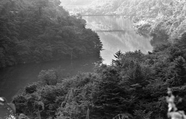 Ormandaki nehrin havadan görünüşü