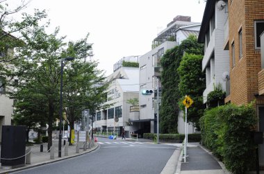 Tokyo, Japonya - Kasım 23 - Kasım 2 019: Tokyo, Japonya 'da Japon mimarisi