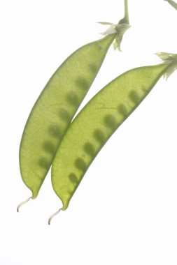 Beyaz arkaplanda taze bezelyelerin yakın plan görüntüsü              