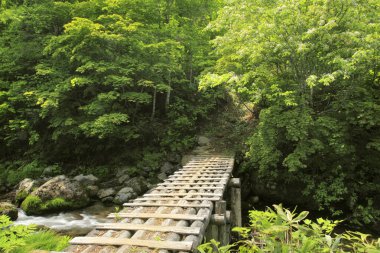 Dağlarda güzel bir şelale