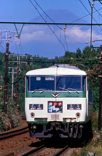 train moving on the railroad  on nature background in Japan