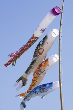 Hava Balık Rüzgarlığı Gökyüzünde, Japonya