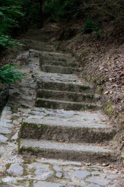 Parktaki merdivenler.