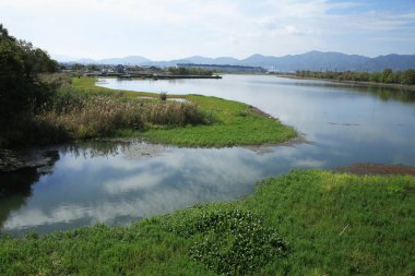 Sakin bir nehir, yeşil bitkiler, ağaçlar ve ufukta dağlarla güzel doğal bir manzara.