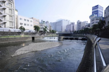 Japonya 'daki Tagawa nehrinin güzel manzarası.                    