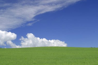 Güzel doğal yeşil arazi ve mavi gökyüzü.     