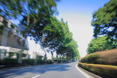 yeşil ağaçlı şehir caddesinin hareket bulanık görüntüsü
