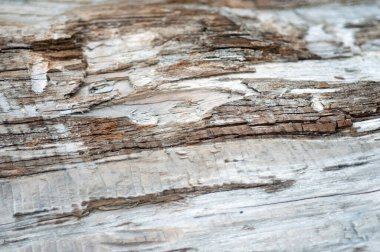 arkaplan için eski ahşap dokusu