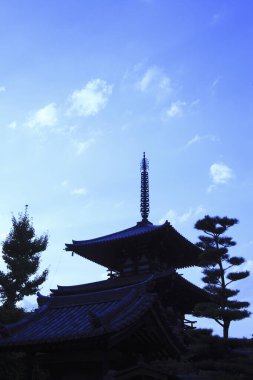 Japonya 'da gün batımında tapınağın silueti.