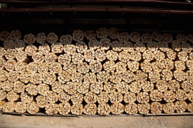 Yığılmış odun kütükleri dışarıda güneş ışığında kuruyor.