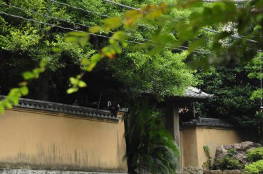 Geleneksel Japon bahçe girişi yemyeşil yapraklarla çevrili.