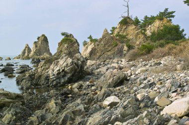 Karadeniz kıyısında.
