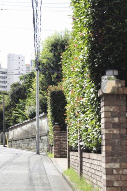 Tuğla çit ve yeşil çitlere sahip güneşli mesken caddesi