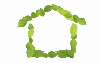 yeşil yapraklardan yapılmış ev işareti 