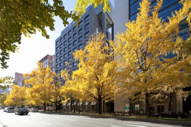 şehir mimarisi arka plan görüntüsü, modern şehir 