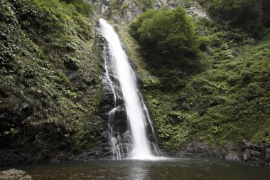Ormanda güzel bir şelale 