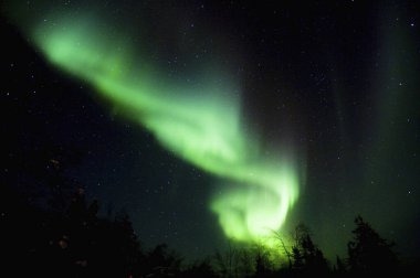 Güzel Aurora Borealis Gece gökyüzünde            