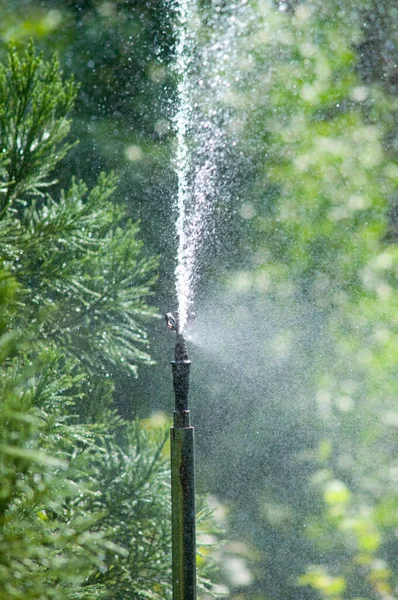 Sprinkler Watering Lawn Nature Background — Stock Photo, Image